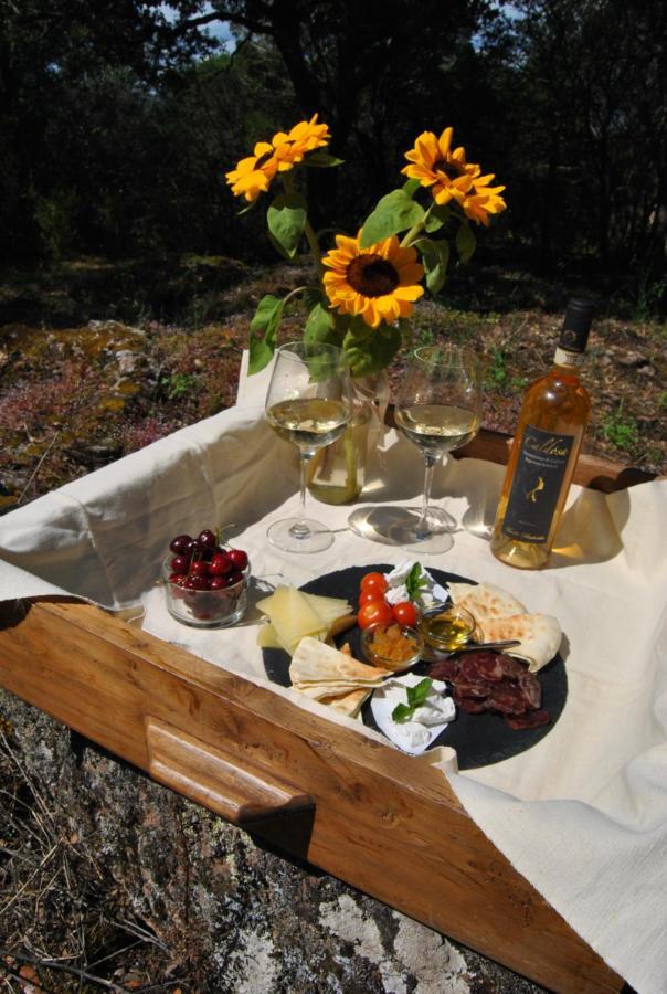 Pasare Glamping_Anglonaruralexperience Hotel Perfugas Exterior foto